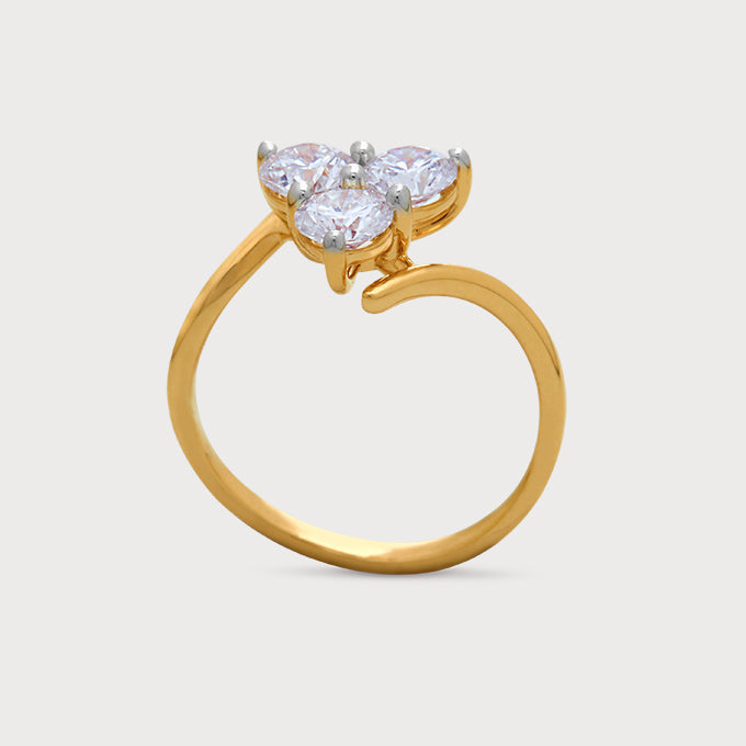 The Nova Ring