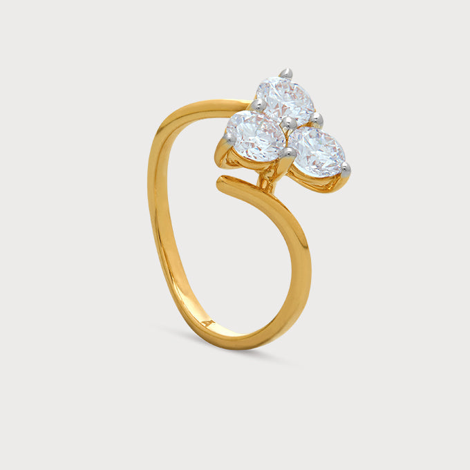 The Nova Ring