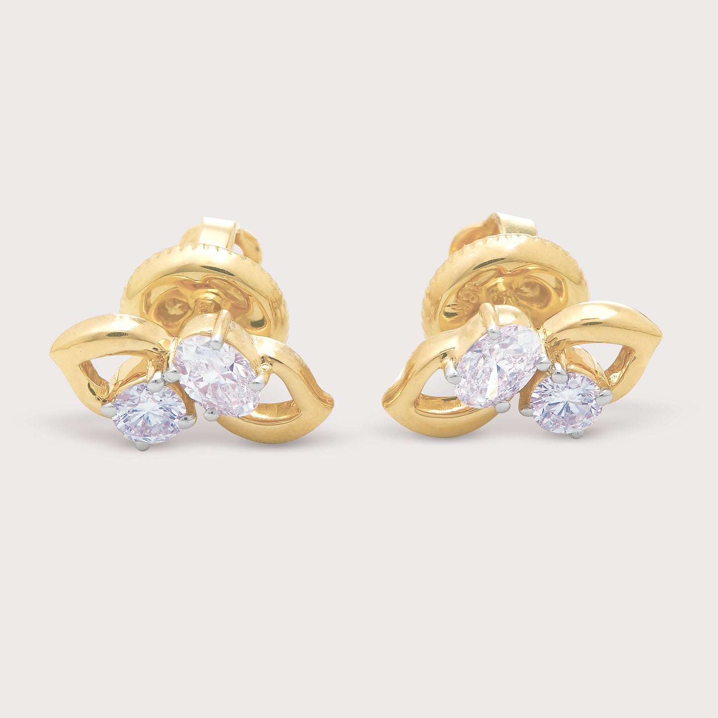 The Magnolia Studs