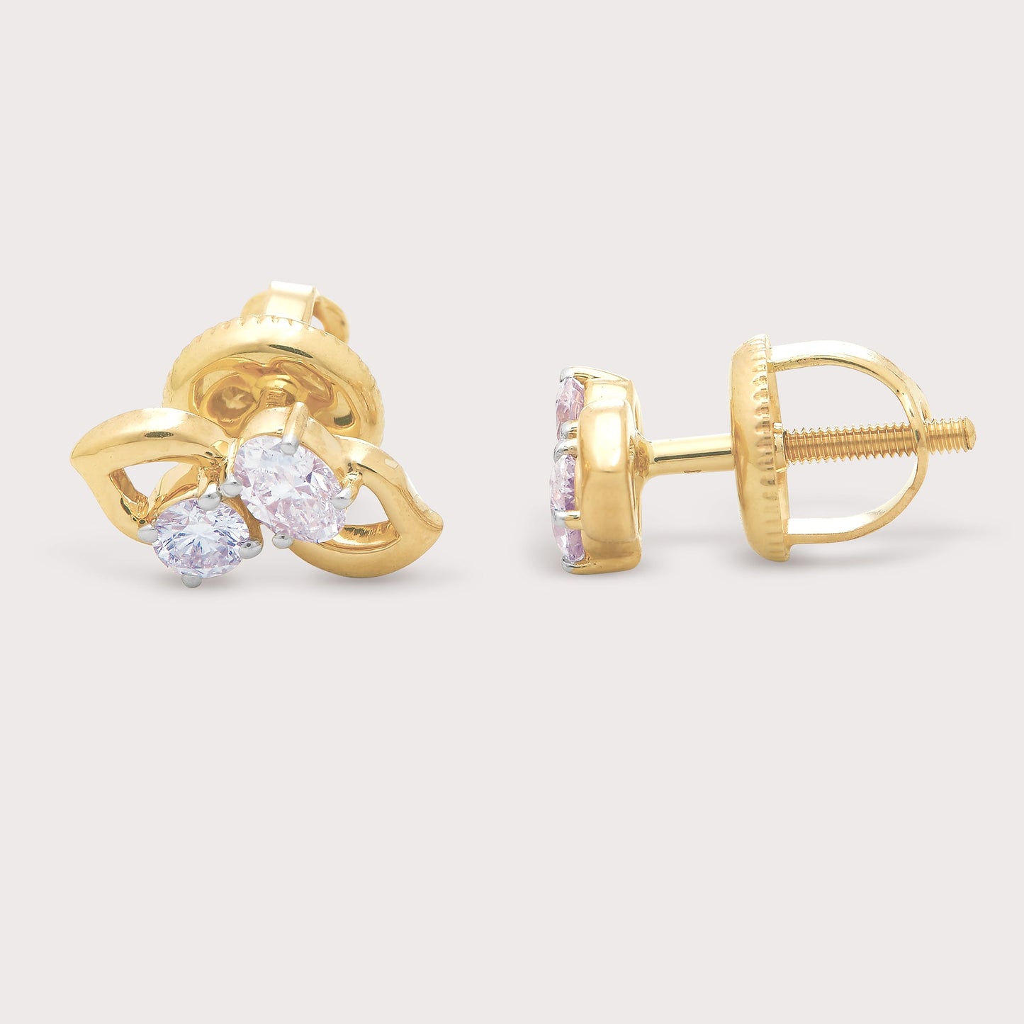 The Magnolia Studs