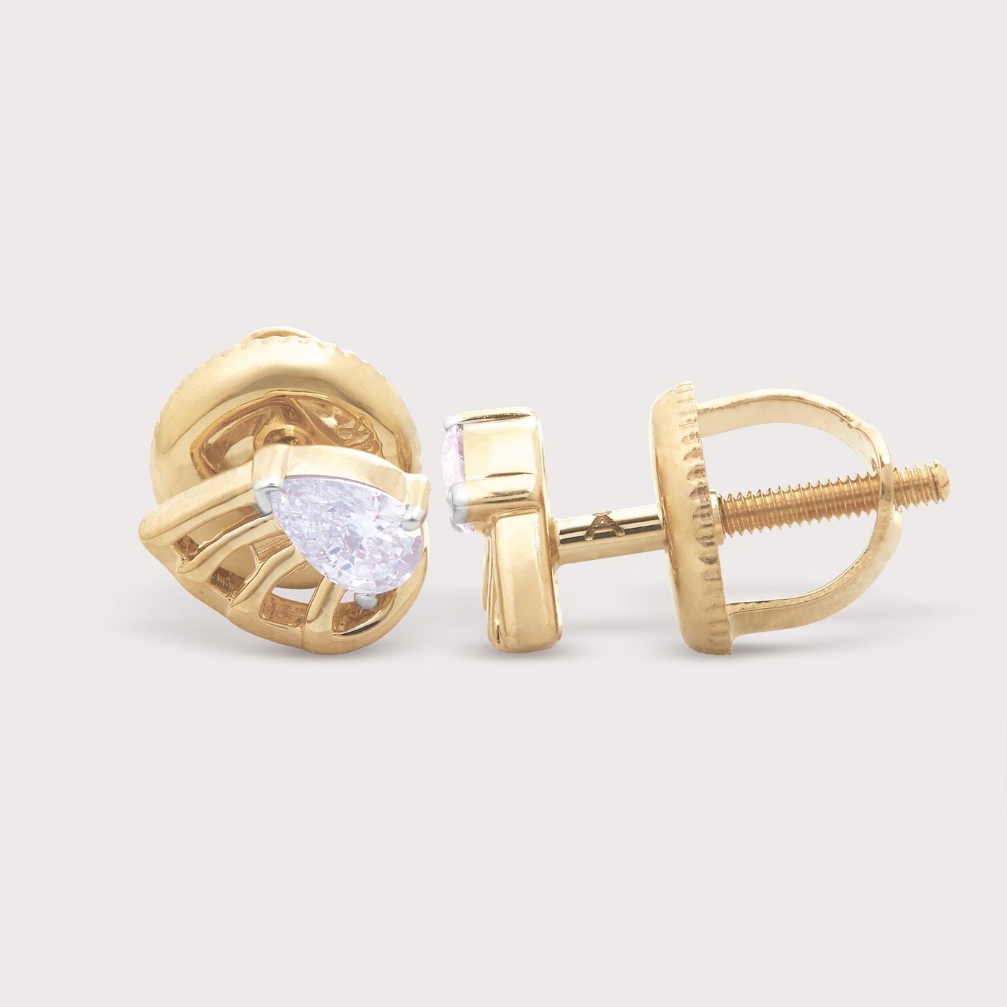 The Cowrie Studs
