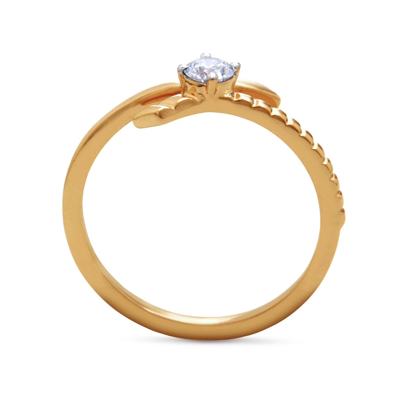 The Orara Ring