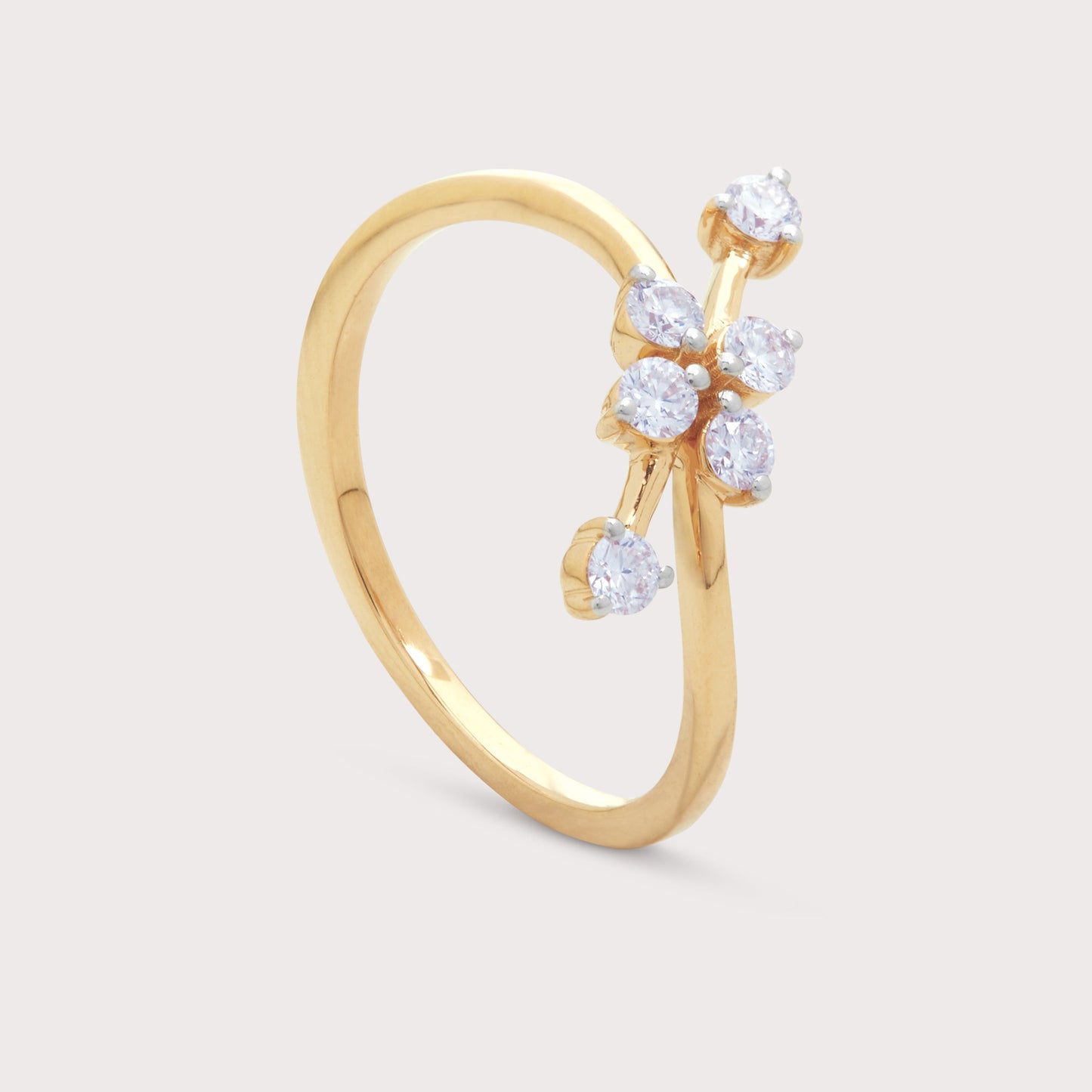 The Aspen Ring