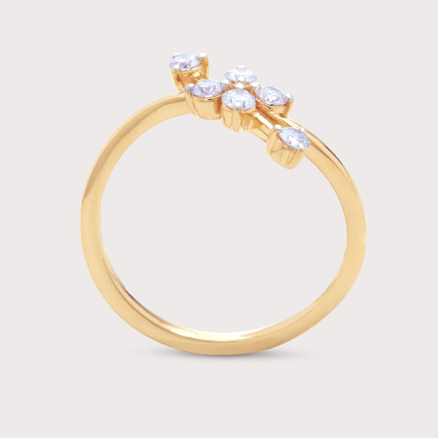 The Aspen Ring