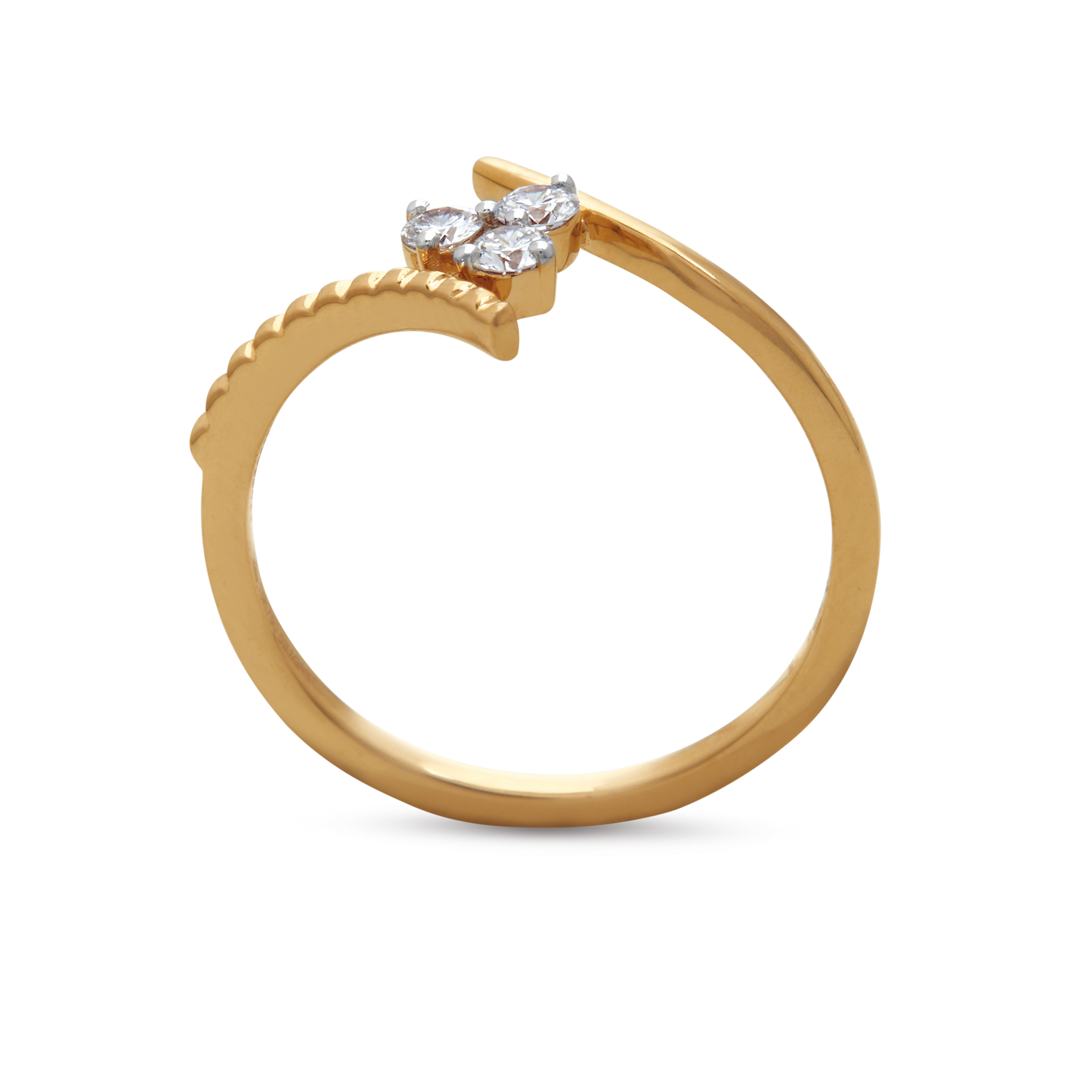 The Arbour Ring