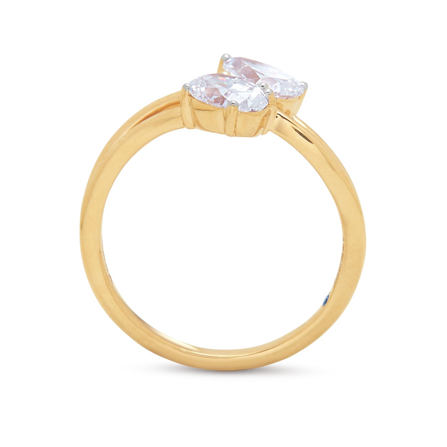 The Mahasti Ring