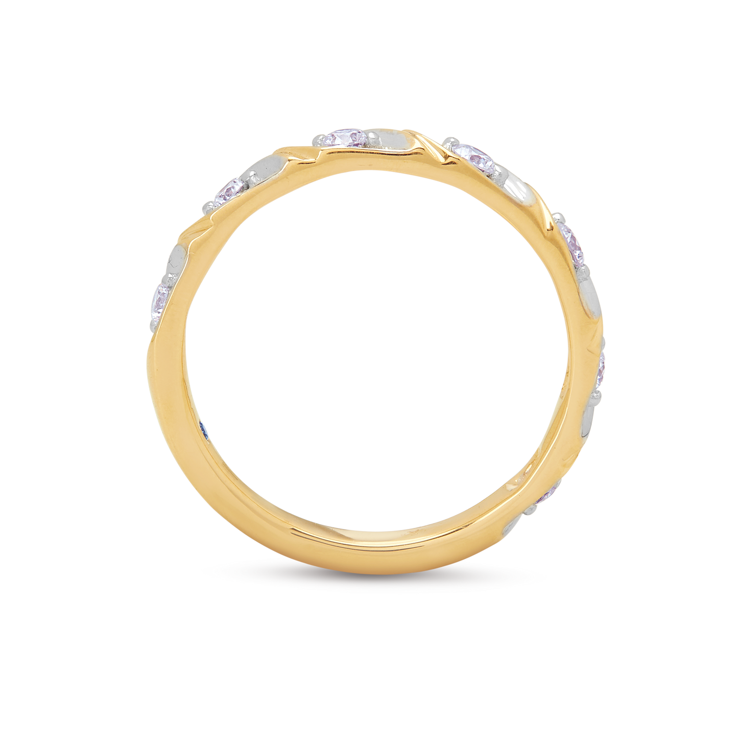 The Mosaic Band