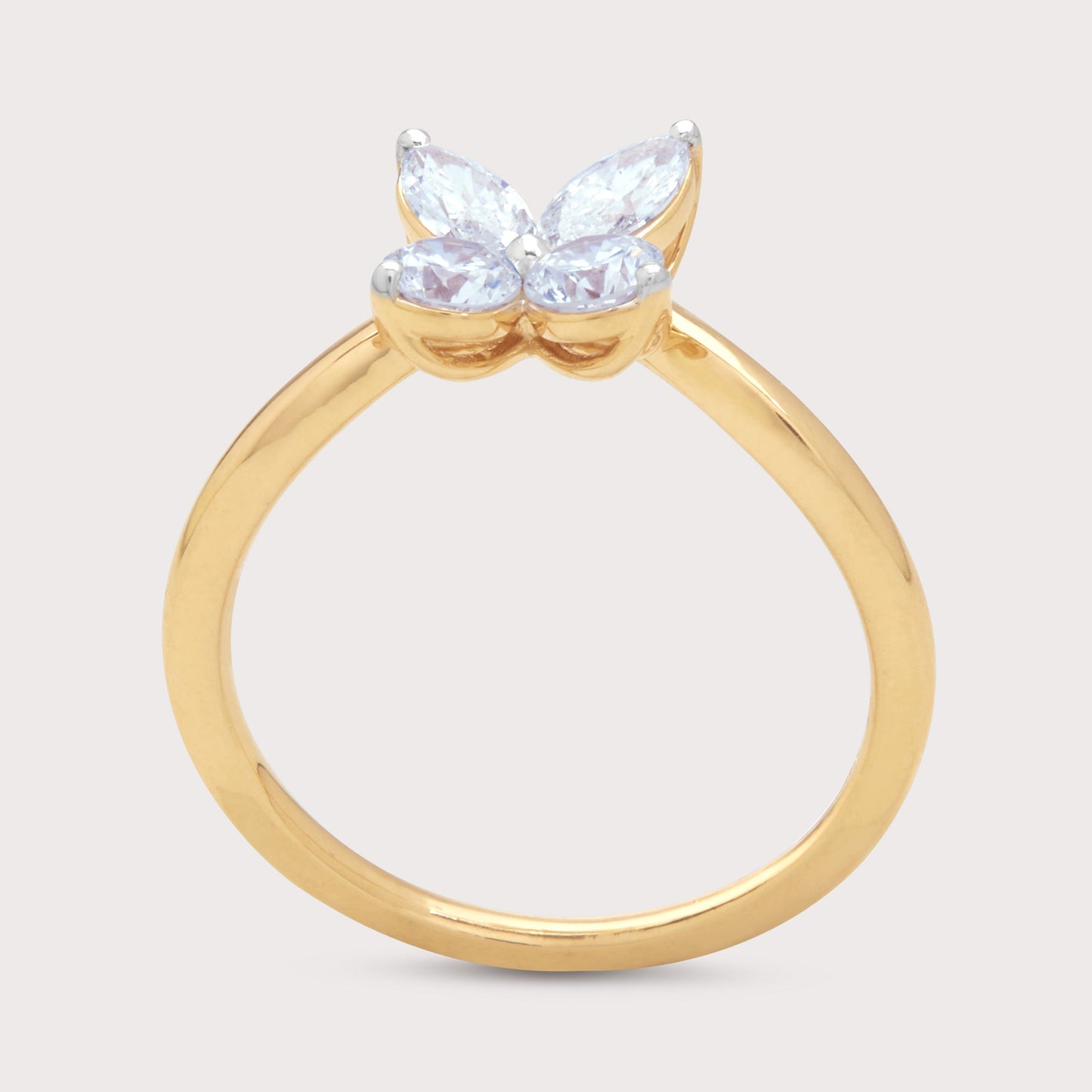 The Dianthe Ring