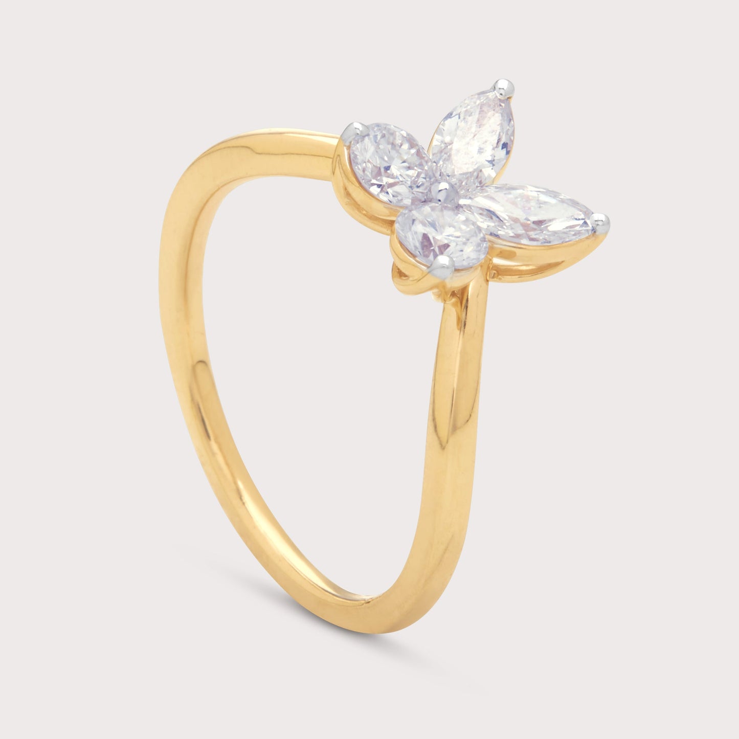 The Dianthe Ring