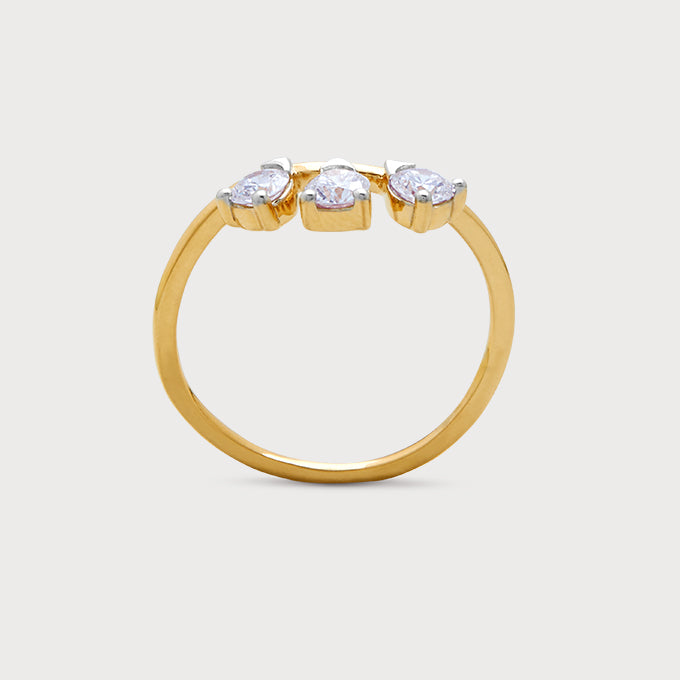 The Orion Ring