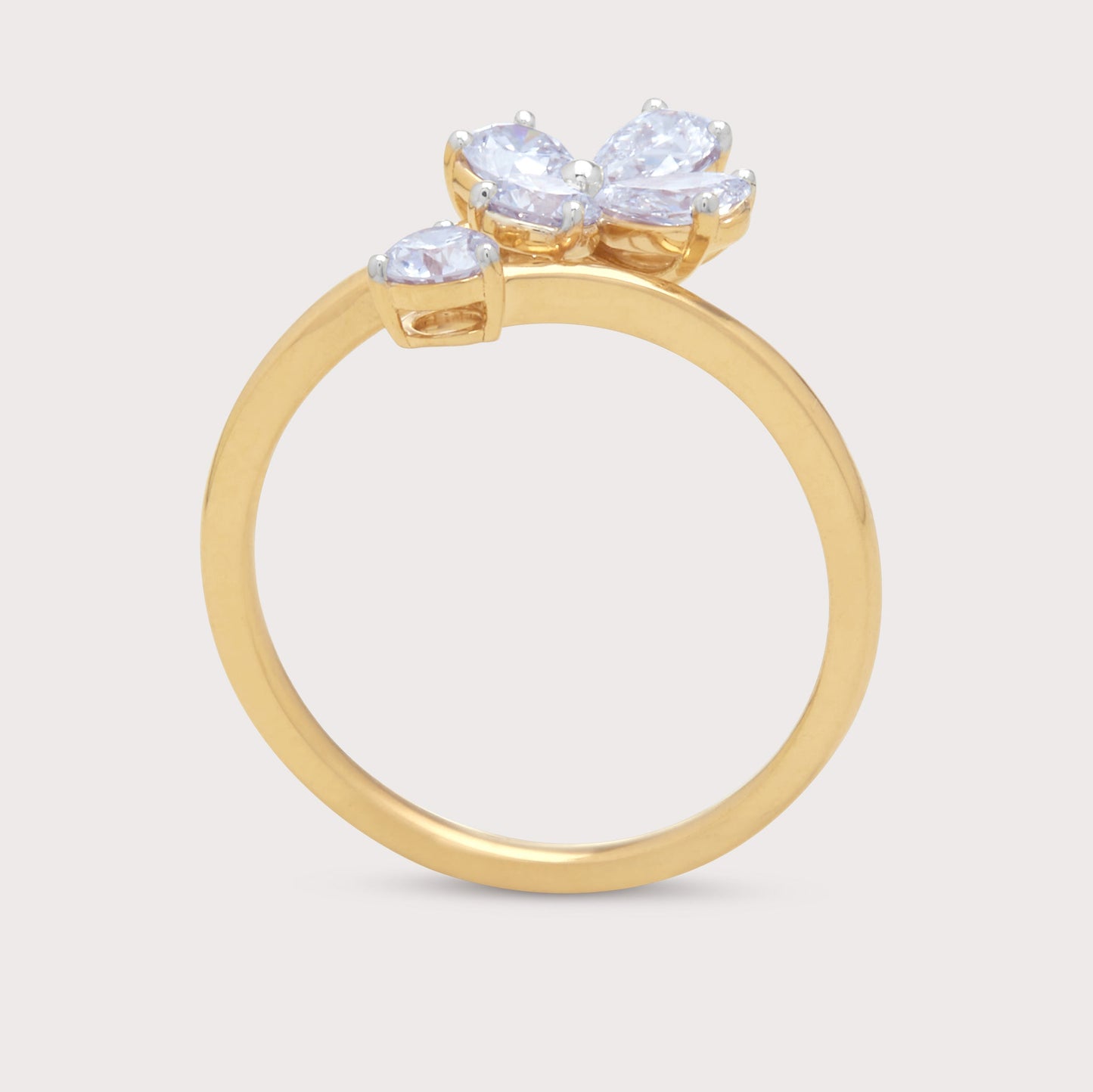 The Mirza Ring