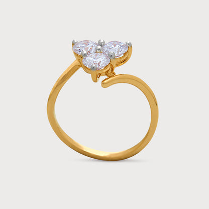 The Nova Ring