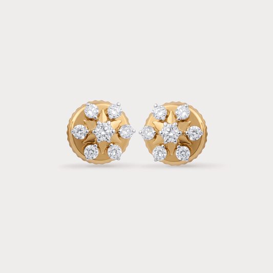 Vine Floral Nakshatra Diamond EarRing