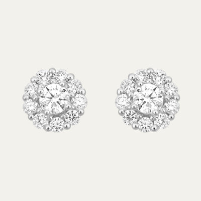 Aukera-Brilliant Halo Studs