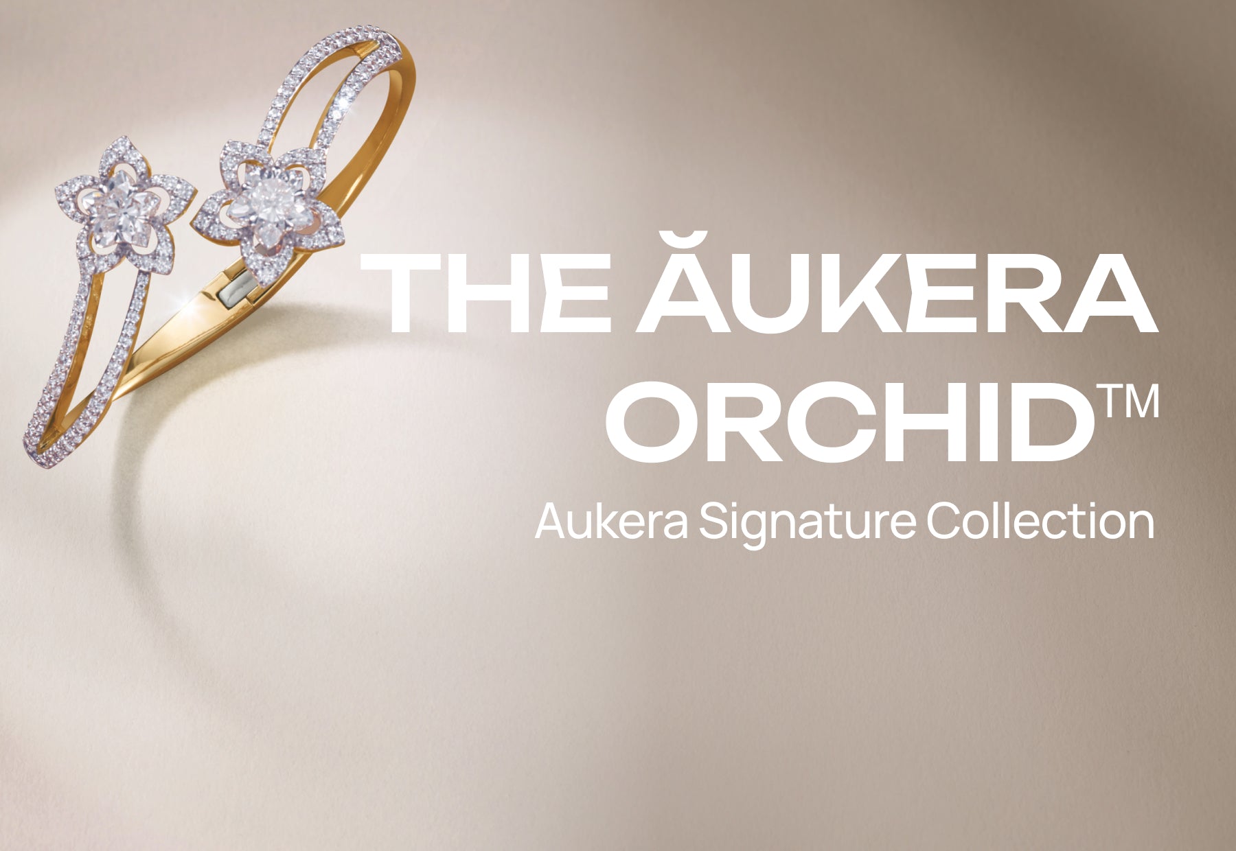 The Aukera Orchid