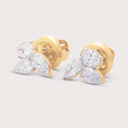The Willow Studs