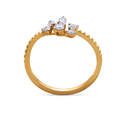 The Vanya Ring