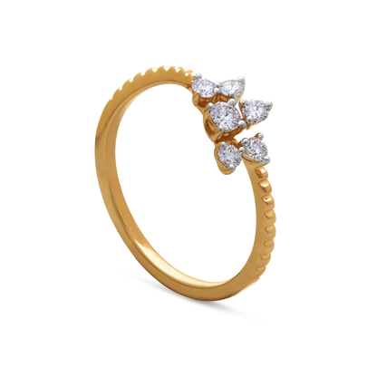 The Vanya Ring