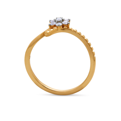 The Aranya Ring