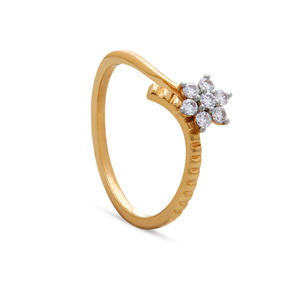 The Aranya Ring