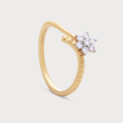 The Aranya Ring