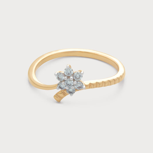 The Aranya Ring