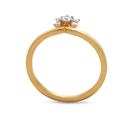 The Carnation Ring