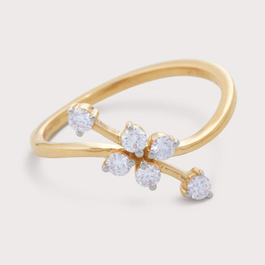 The Aspen Ring