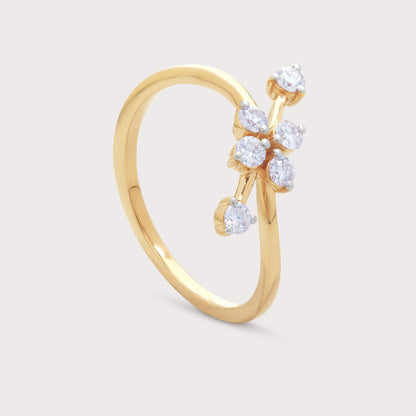 The Aspen Ring