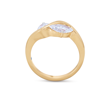 The Twin Harmony Ring