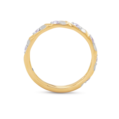 The Mosaic Band