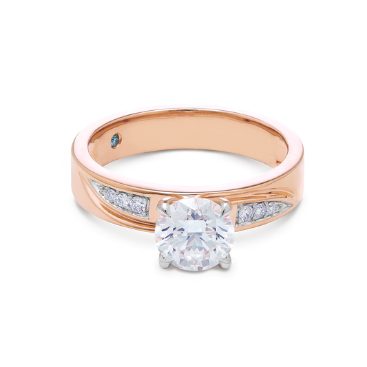 The Bastion Ring
