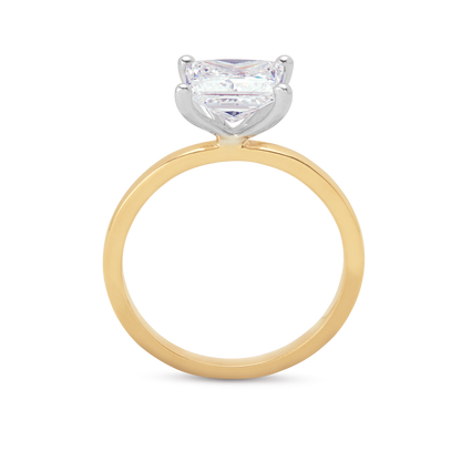 The Alba Ring