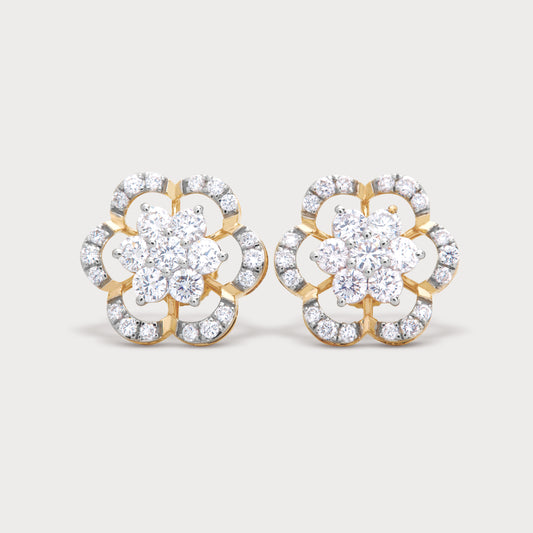 The Iraaya Studs