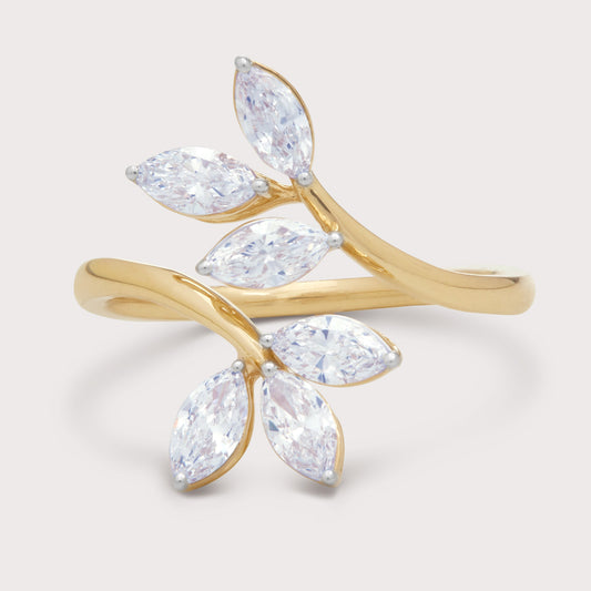 The Florin Ring