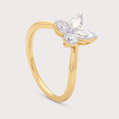 The Dianthe Ring