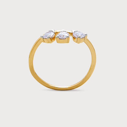 The Orion Ring