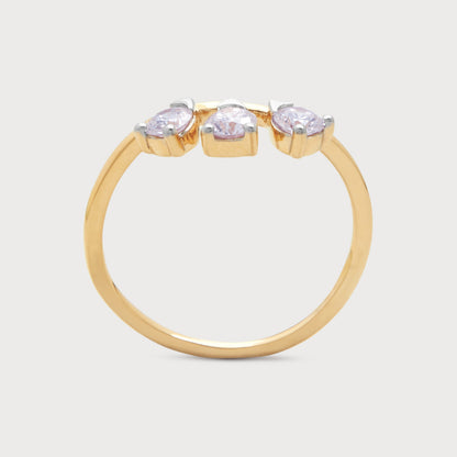 The Orion Ring