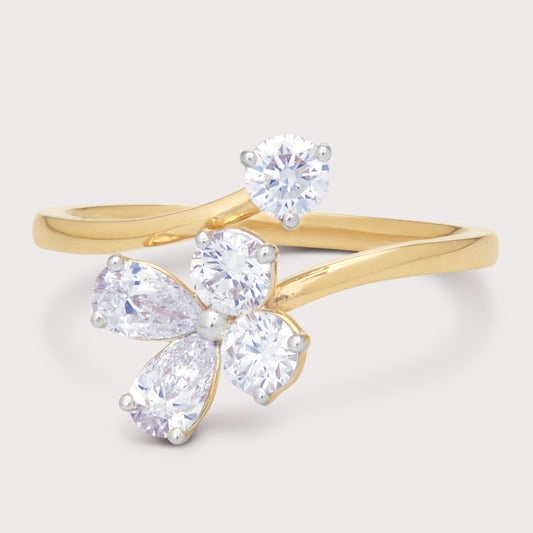 The Mirza Ring