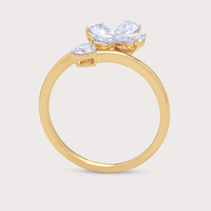 The Mirza Ring