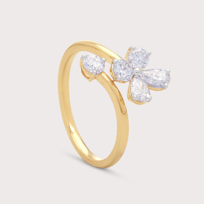 The Mirza Ring
