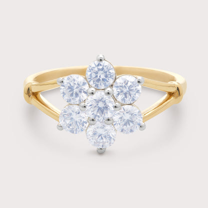 The Isola Ring