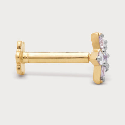 The Stellar Nose Pin