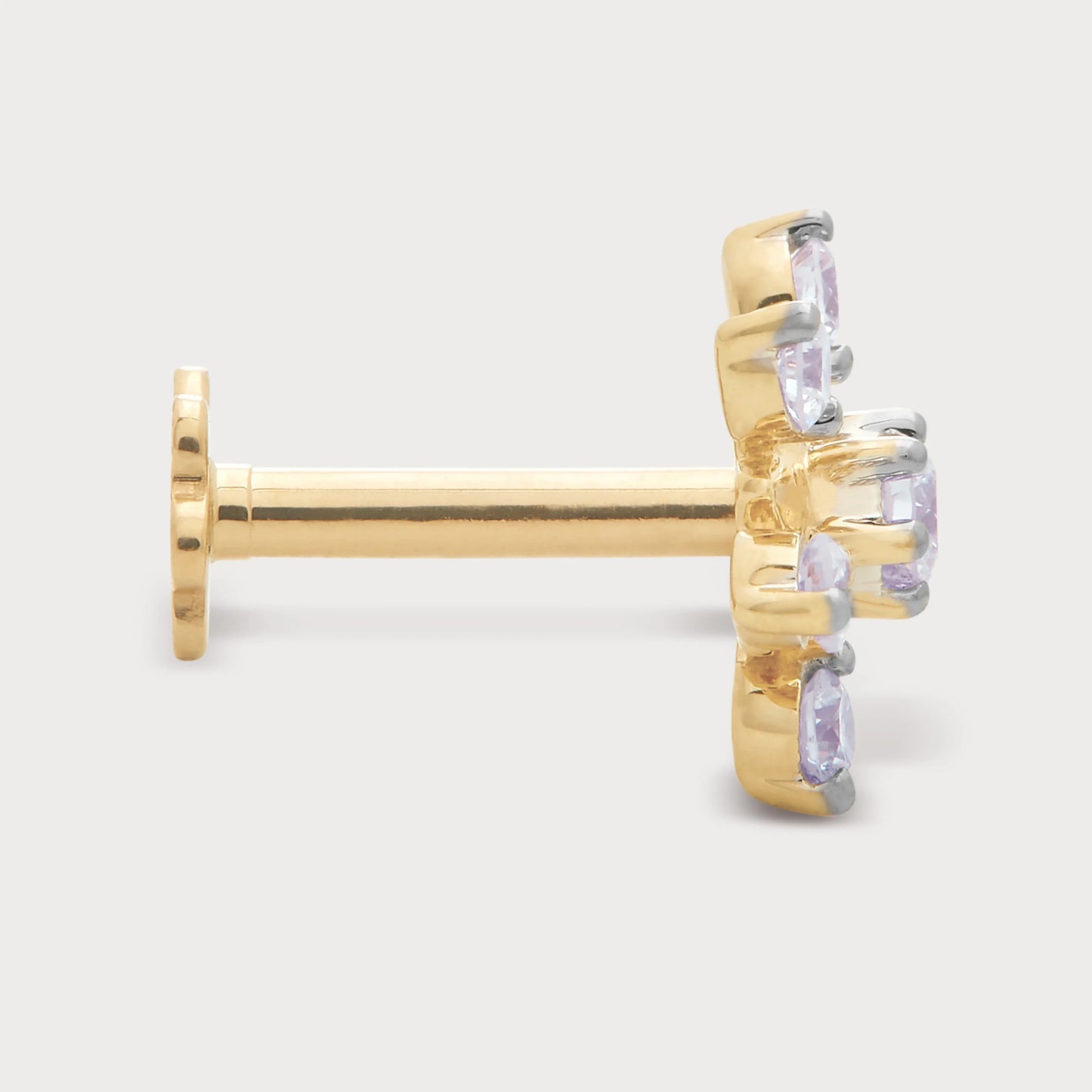 The Stellar Cluster Nose Pin