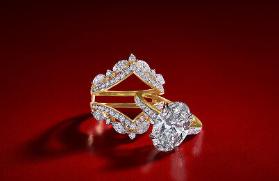 Introducing The <br> Audacity Ring