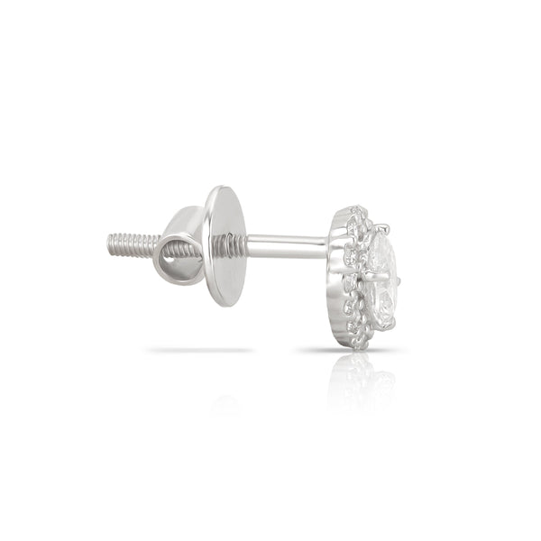 Aukera Lab Grown Diamonds-Lustrous Oval Halo - White Gold Ear Stud